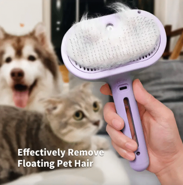 Cat Steam Brush - Image 5