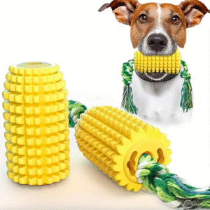 Dog Chew Toy
