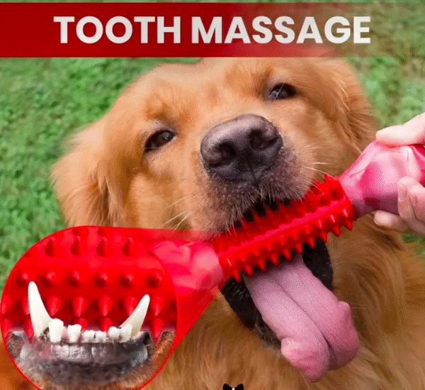 Tough Dog Toy - Image 2