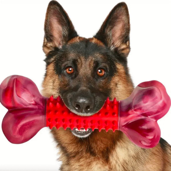 Tough Dog Toy - Image 4