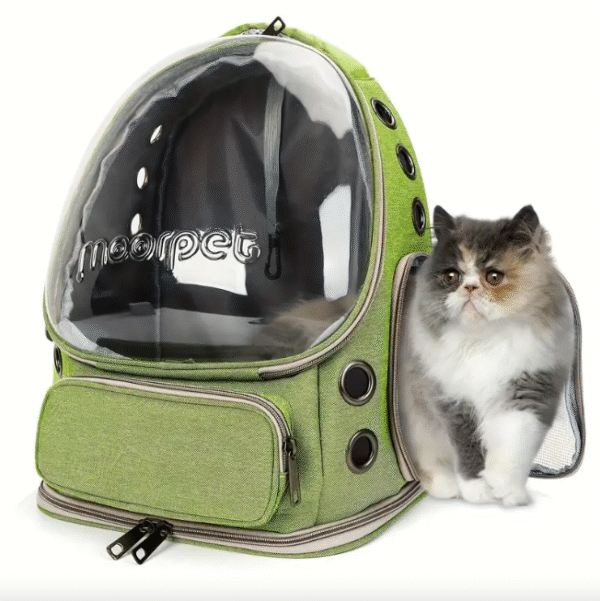 Pet Travel Backpack